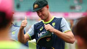 能为布伦特 能为布伦特