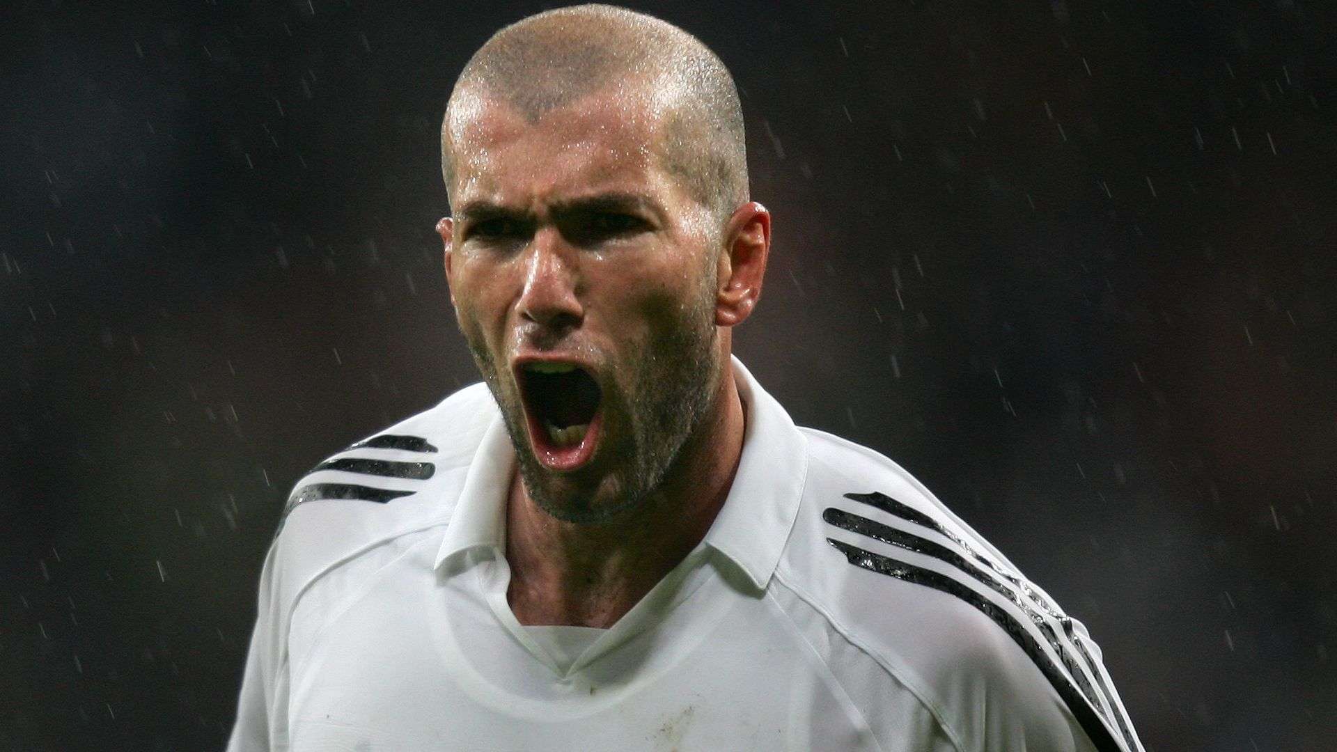 场协作中制 场协作中制